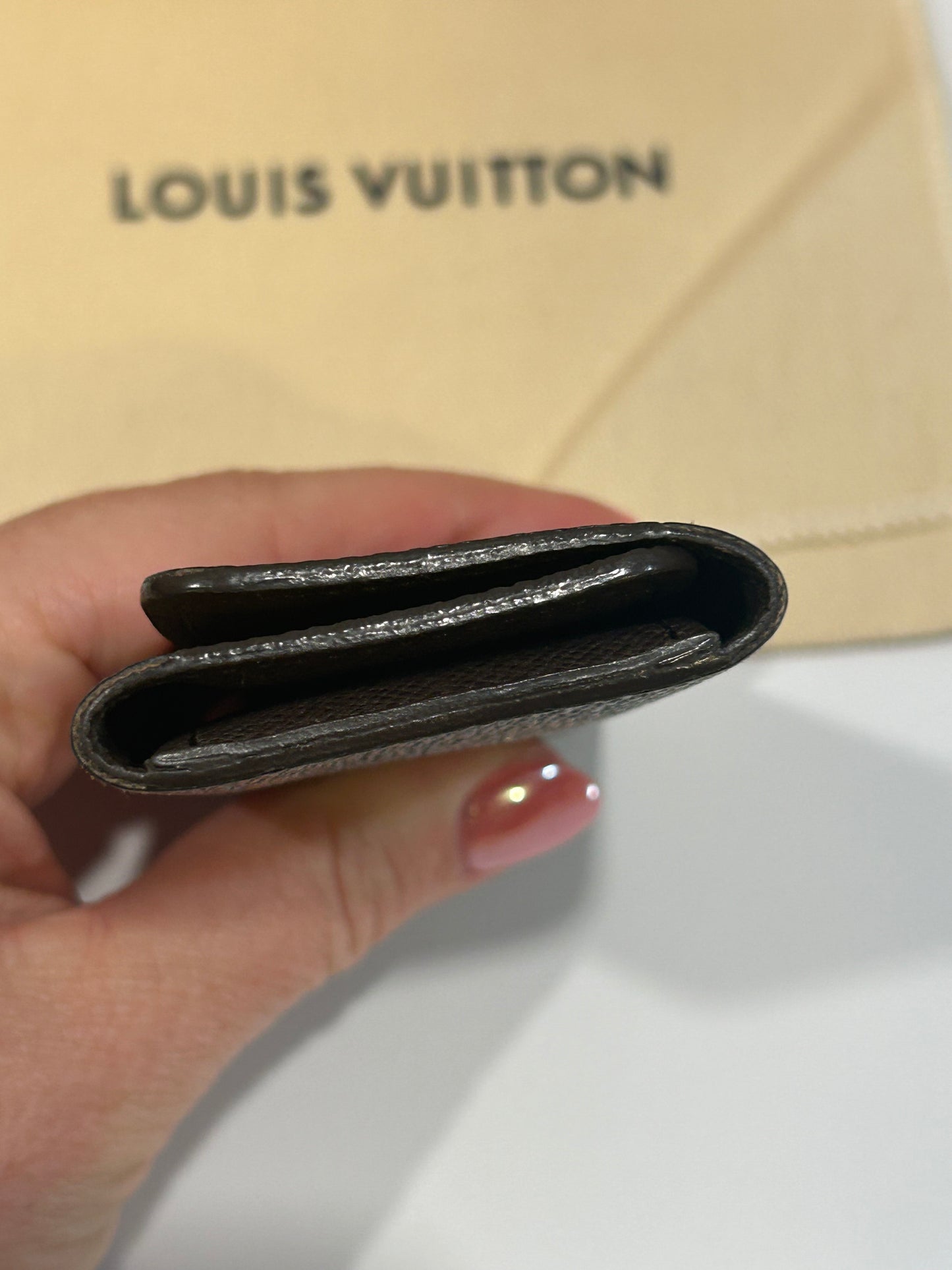 Louis Vuitton Damier Ebene Multicle